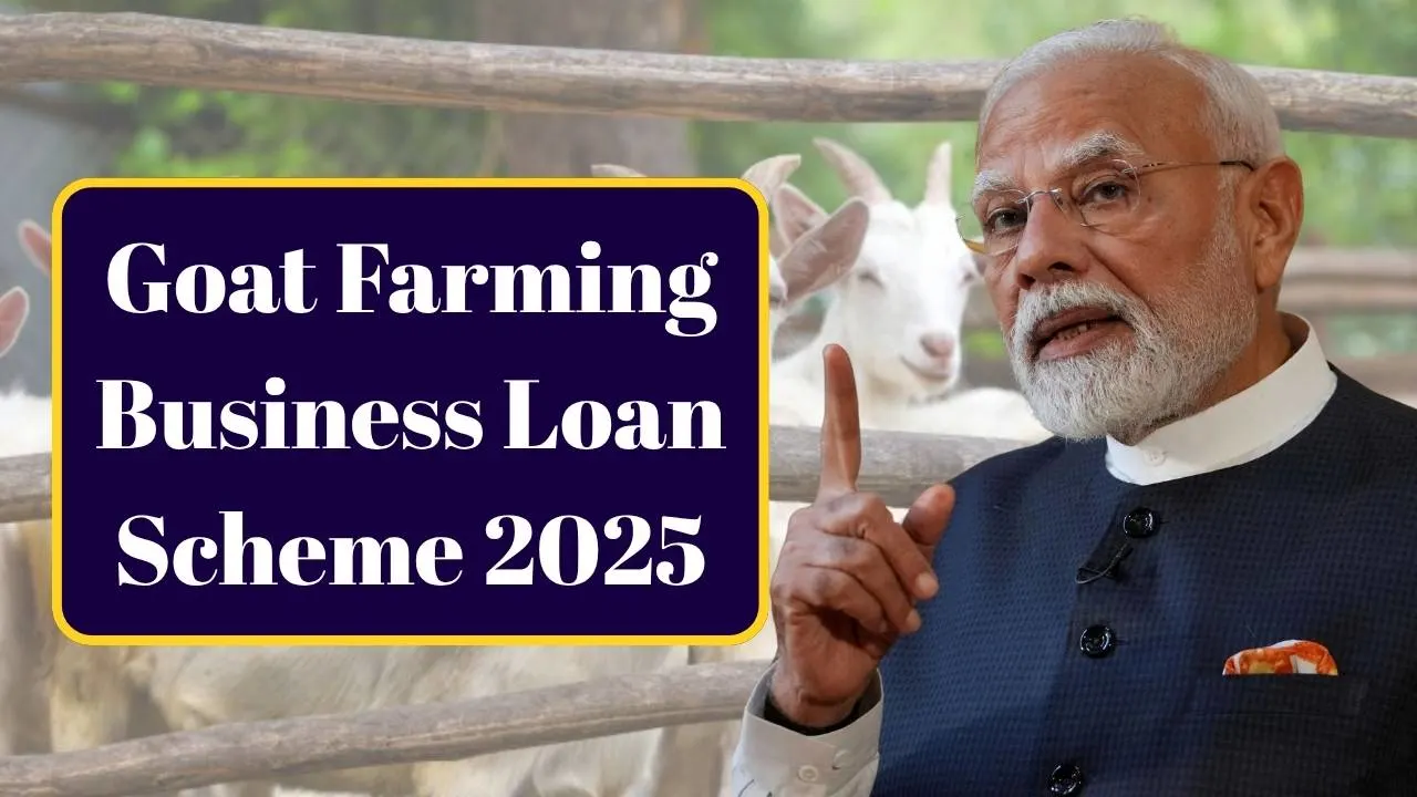 Goat Farming Business Loan Scheme 2025